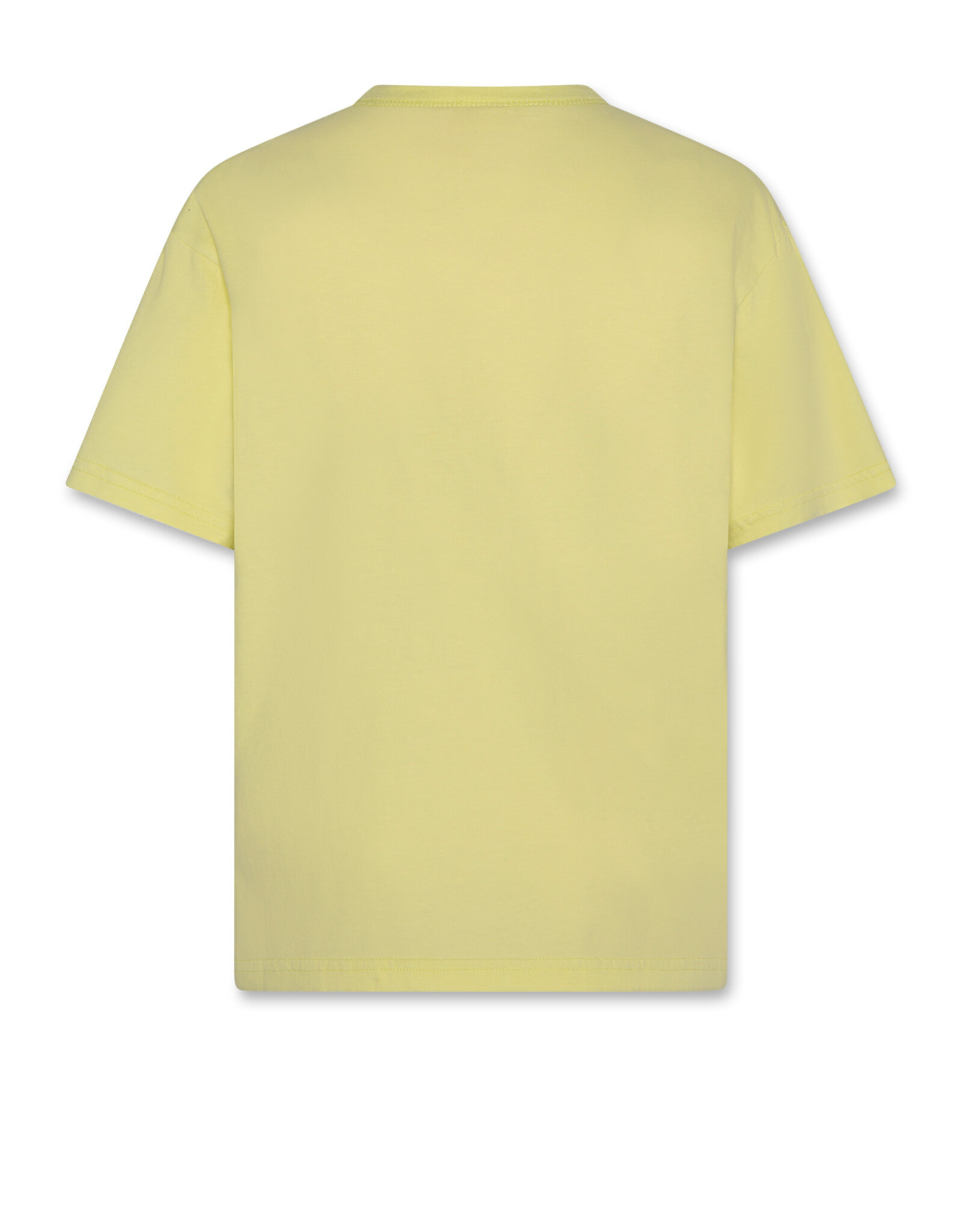 AMERICAN OUTFITTERS Ao76 Silas t-shirt hamptons SP citrus