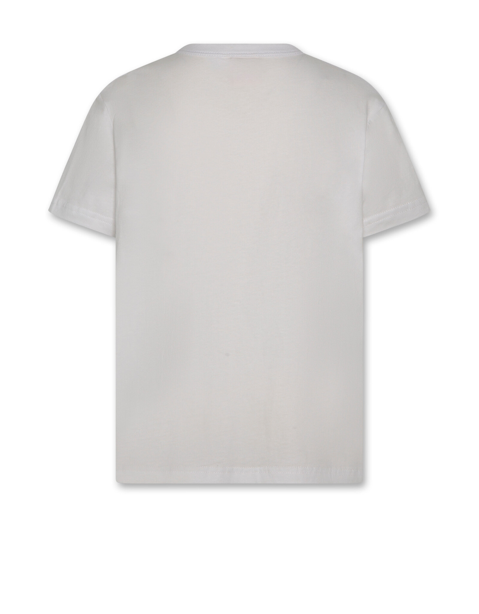 AMERICAN OUTFITTERS Ao76 Mat t-shirt Palms white