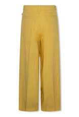 AMERICAN OUTFITTERS Ao76 Troy Pants nico yellow