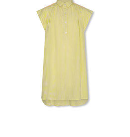 AMERICAN OUTFITTERS Ao76 Gem dress lias citrus