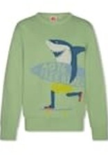 AMERICAN OUTFITTERS Ao76 Tom sweater freerider light green