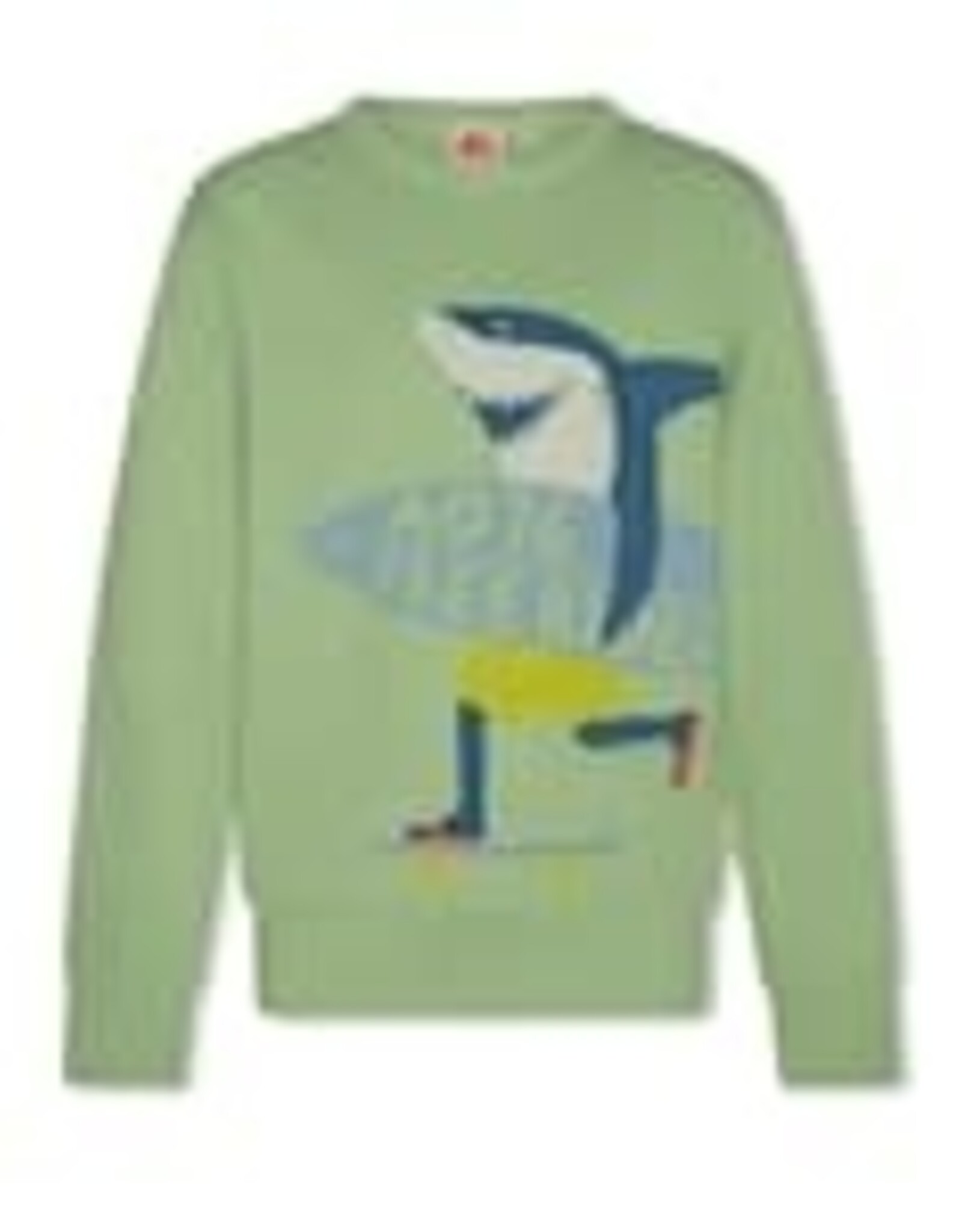 AMERICAN OUTFITTERS Ao76 Tom sweater freerider light green