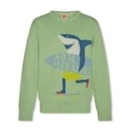 AMERICAN OUTFITTERS Ao76 Tom sweater freerider light green