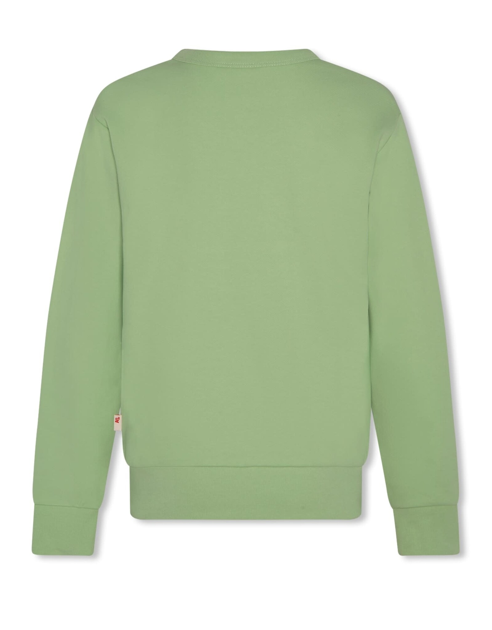 AMERICAN OUTFITTERS Ao76 Tom sweater freerider light green