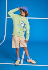 AMERICAN OUTFITTERS Ao76 Tom sweater freerider light green