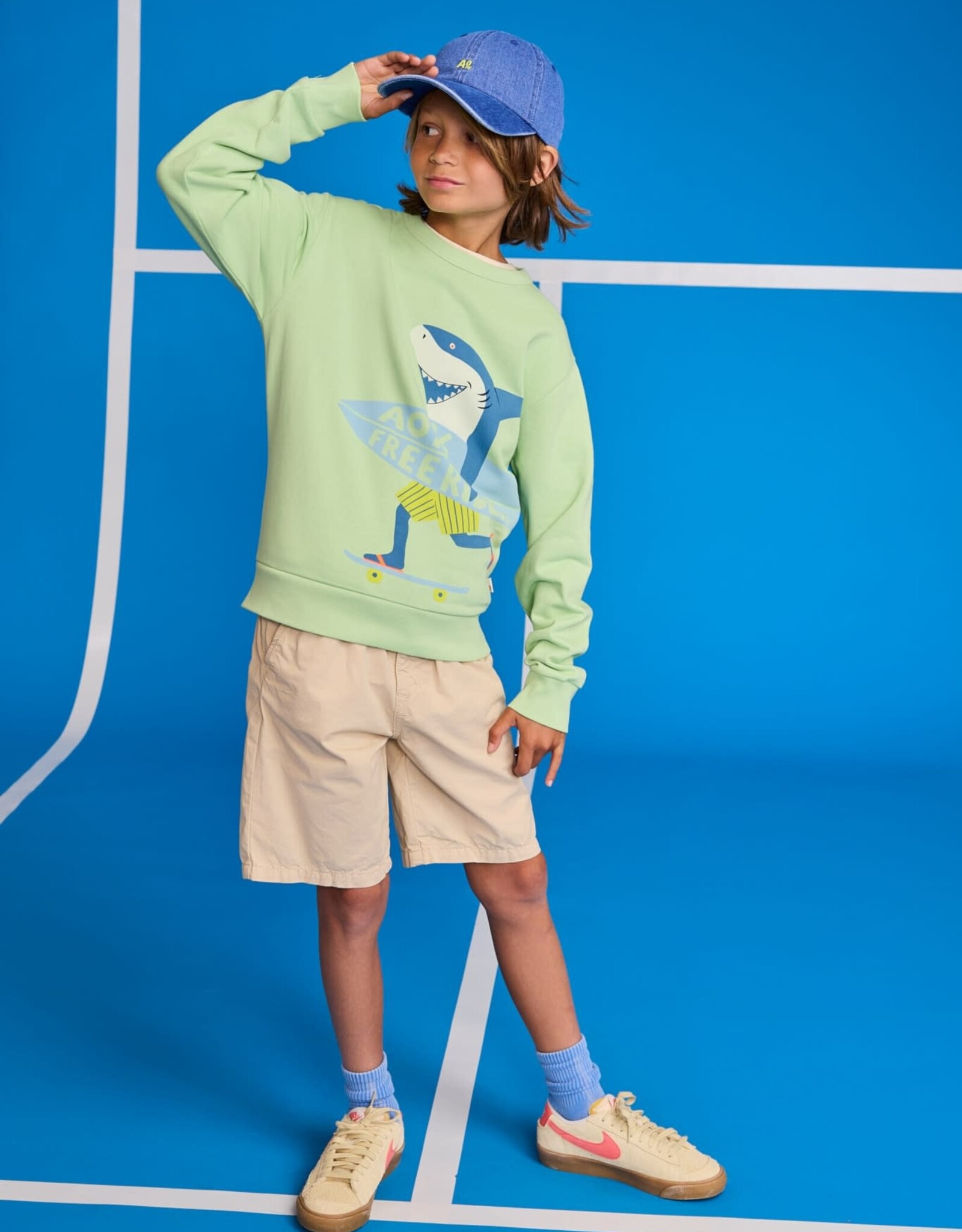 AMERICAN OUTFITTERS Ao76 Tom sweater freerider light green