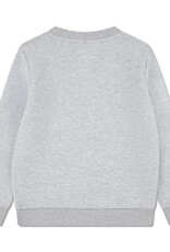 LACOSTE LACOSTE Sweater c- neck grijs