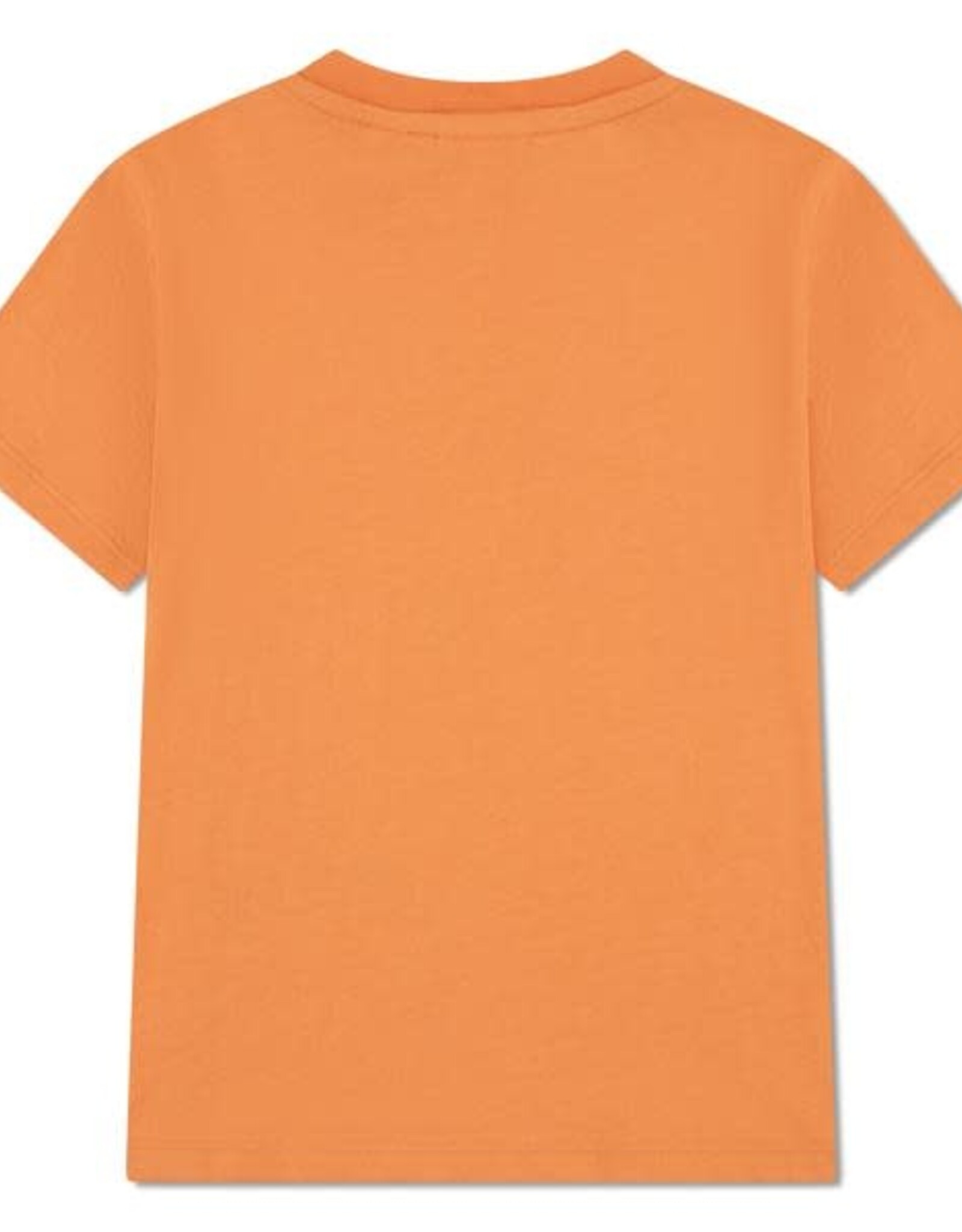 LACOSTE LACOSTE T-shirt Lacoste blossom