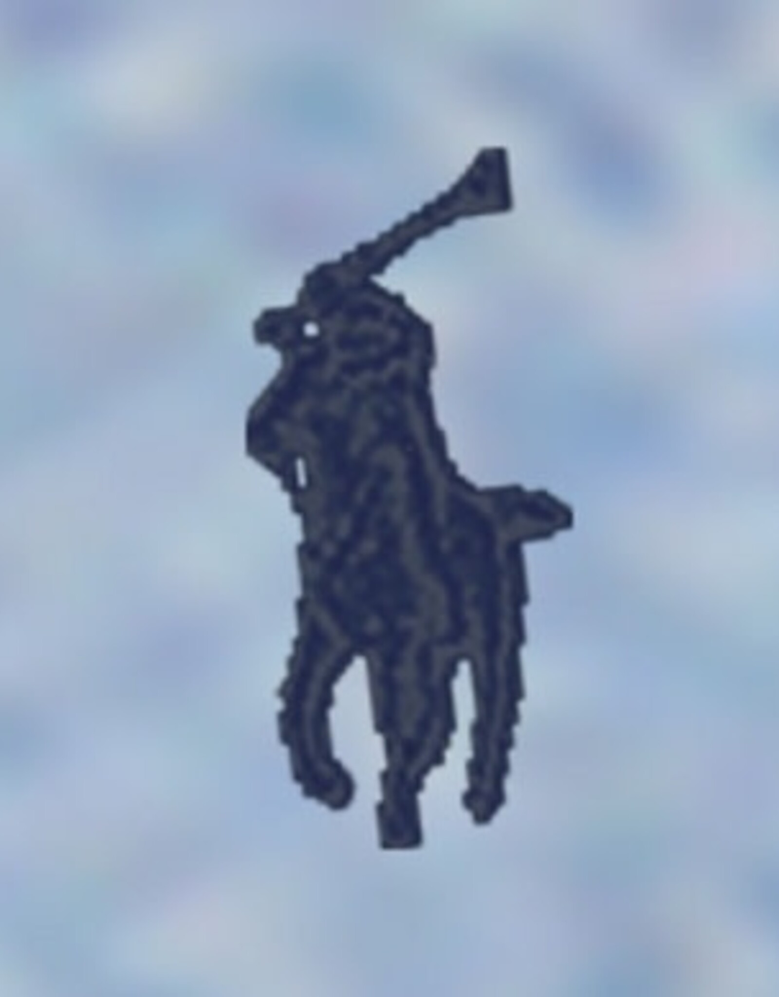 RALPH LAUREN RALPH LAUREN Hemd lichtblauw effen