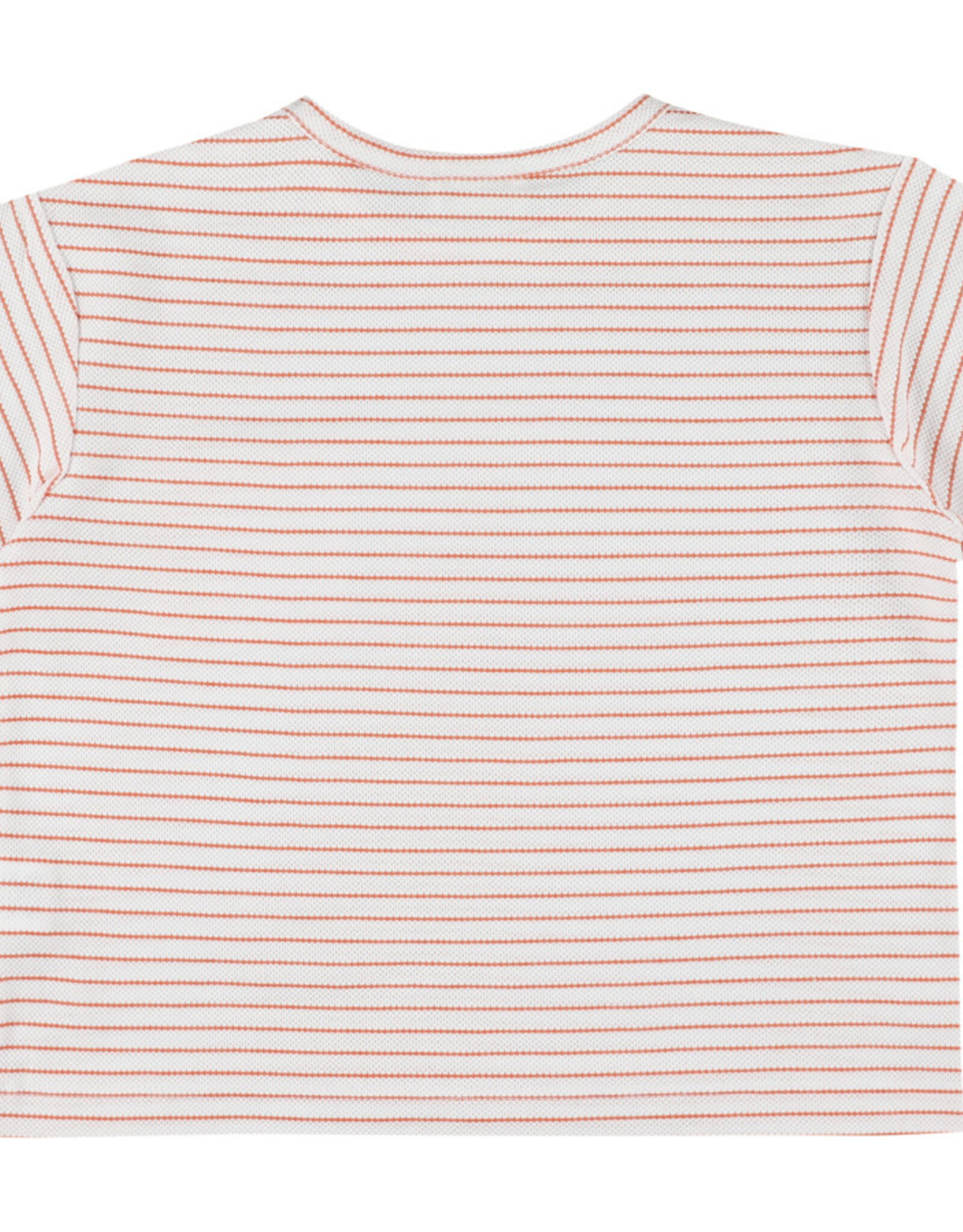 MORLEY MORLEY Vem gil orange