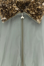 BELLEROSE BELLEROSE Hasty oxyd grey