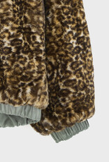 BELLEROSE BELLEROSE Hasty oxyd grey