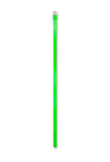 AMERICAN OUTFITTERS Ao76 Parr belt fluo green