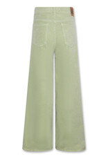 AMERICAN OUTFITTERS Ao76 Zina pants ardo green grey