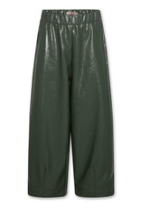 AMERICAN OUTFITTERS Ao76 Asa pants lynn