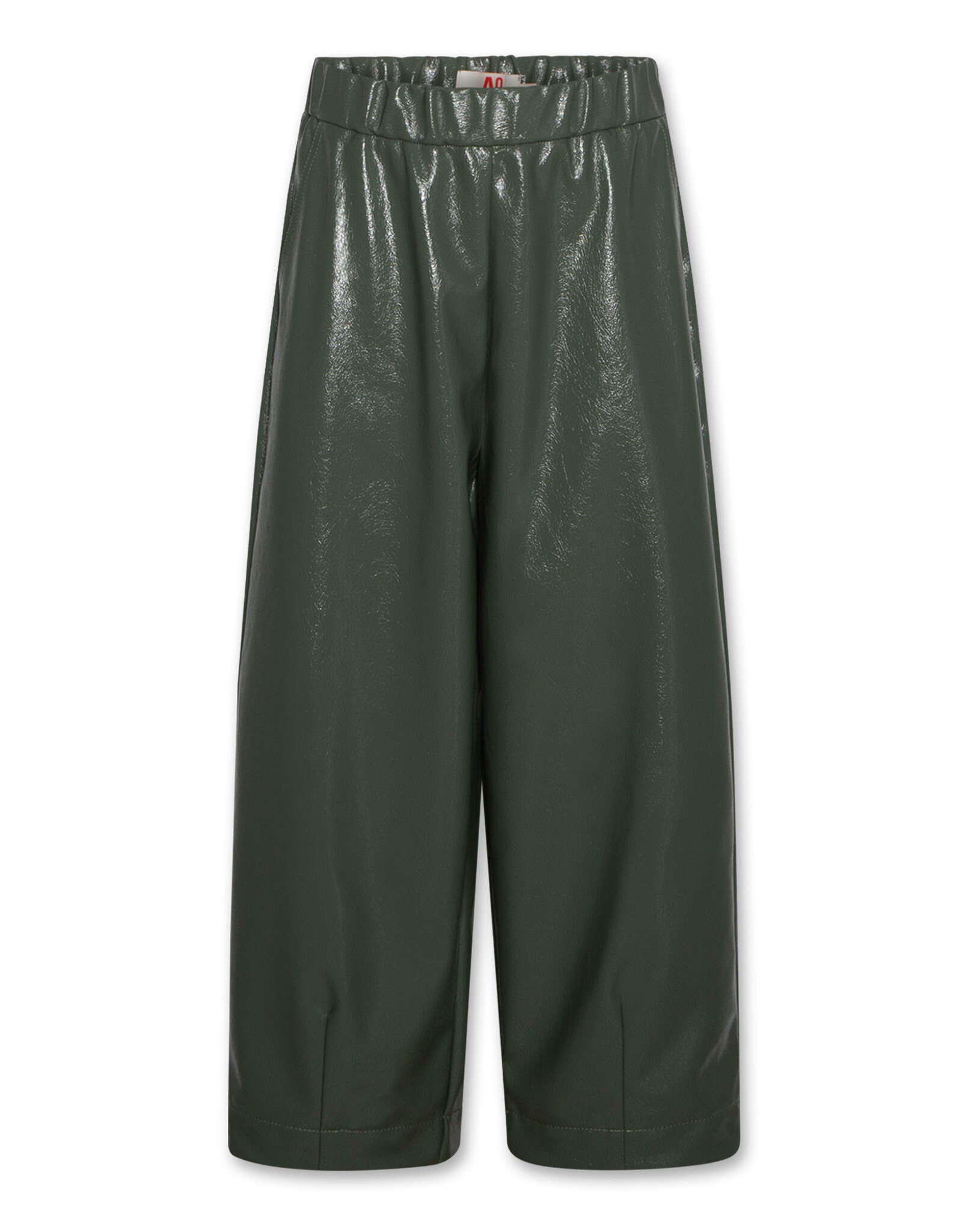 AMERICAN OUTFITTERS Ao76 Asa pants lynn