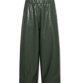 AMERICAN OUTFITTERS Ao76 Asa pants lynn