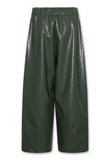 AMERICAN OUTFITTERS Ao76 Asa pants lynn