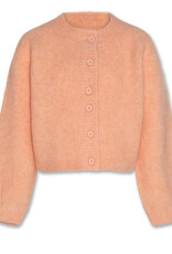 AMERICAN OUTFITTERS Ao76 Anni cardigan rose