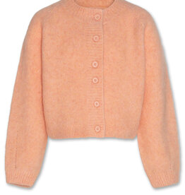 AMERICAN OUTFITTERS Ao76 Anni cardigan rose