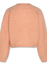 AMERICAN OUTFITTERS Ao76 Anni cardigan rose