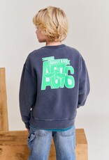 AMERICAN OUTFITTERS Ao76 Oscar sweater doggy