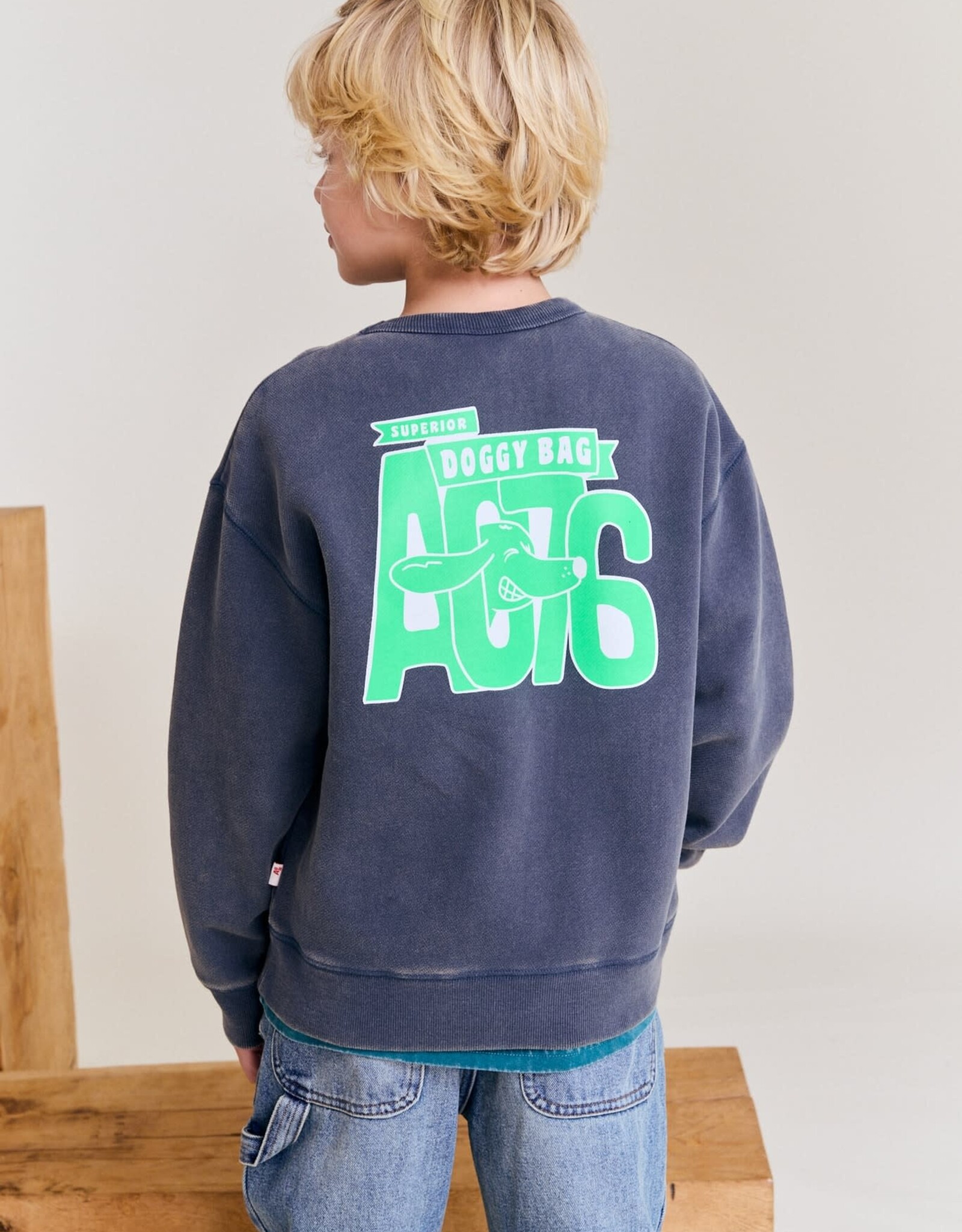 AMERICAN OUTFITTERS Ao76 Oscar sweater doggy
