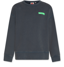 AMERICAN OUTFITTERS Ao76 Oscar sweater doggy