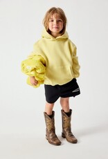 AMERICAN VINTAGE AMERICAN VINTAGE Puggy sweater met kap briochette