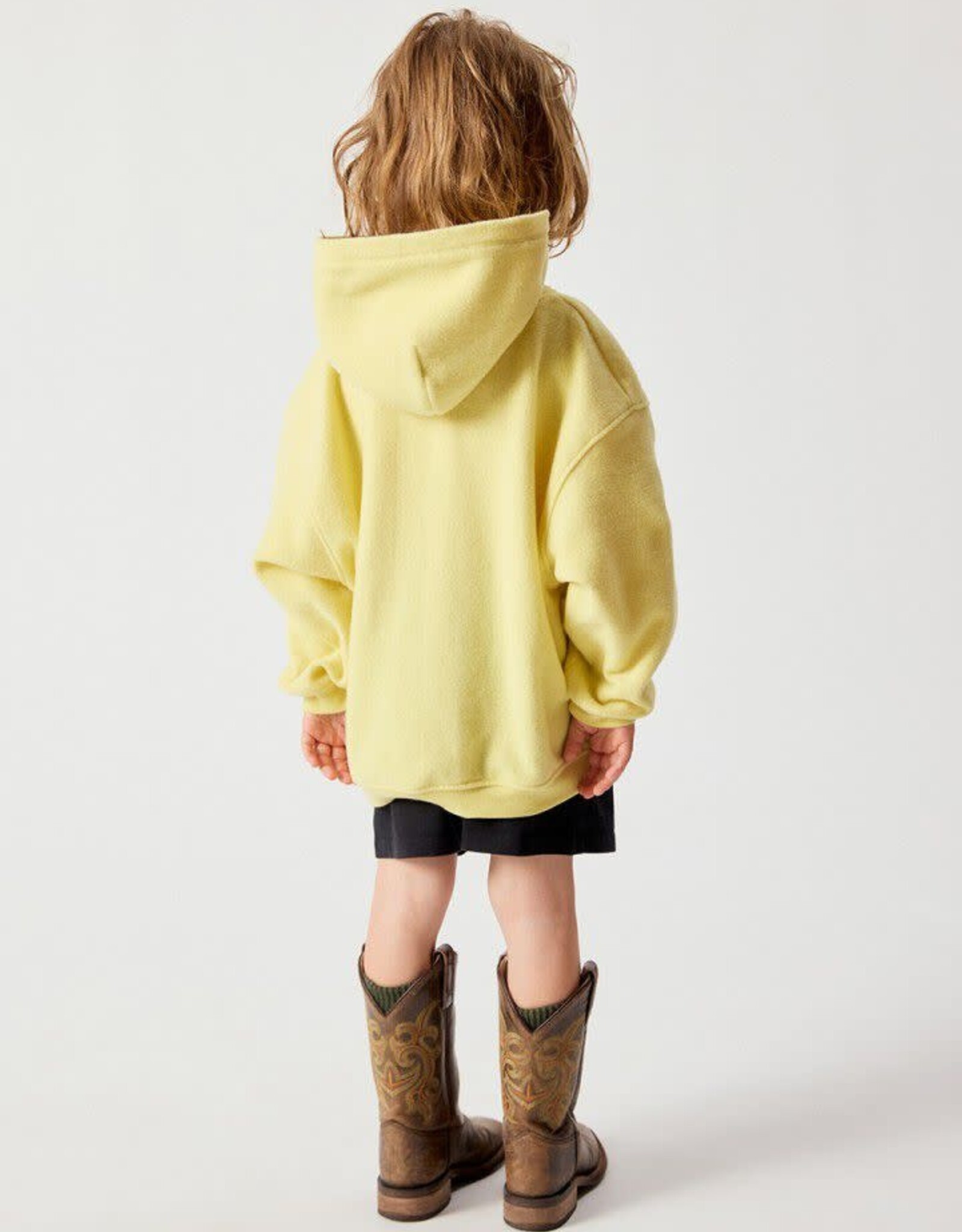 AMERICAN VINTAGE AMERICAN VINTAGE Puggy sweater met kap briochette