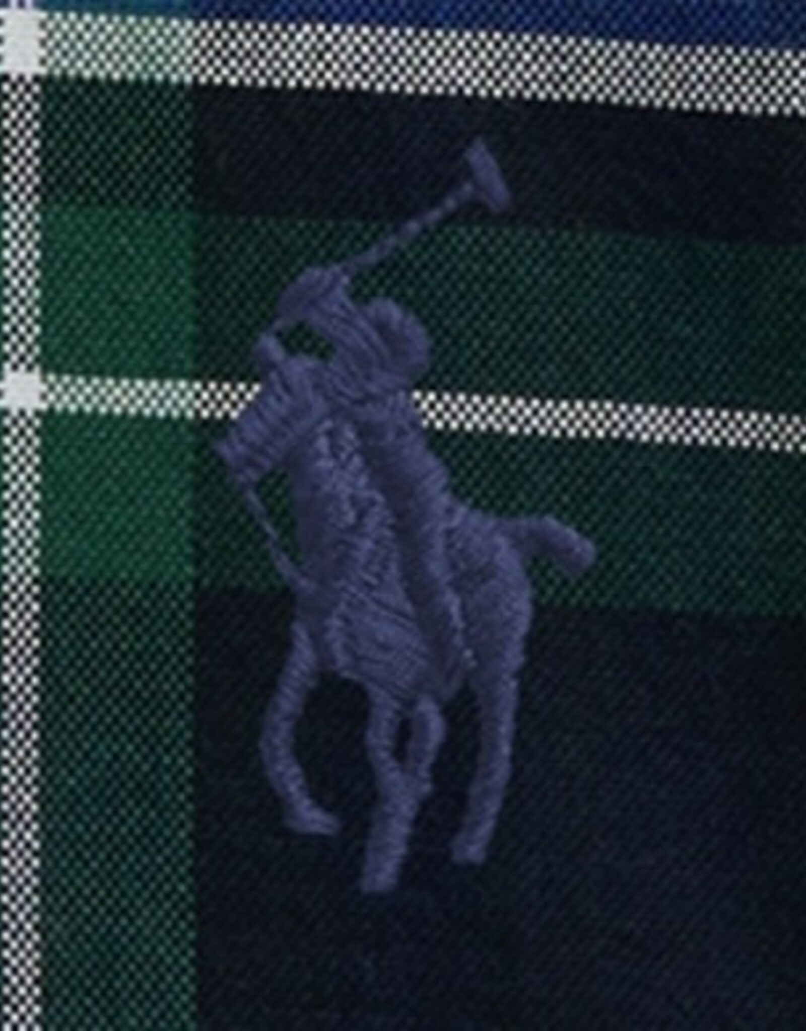 RALPH LAUREN RALPH LAUREN Hemd geruit groen