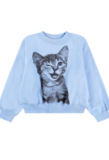 MOLO MOLO Marge blue kitten