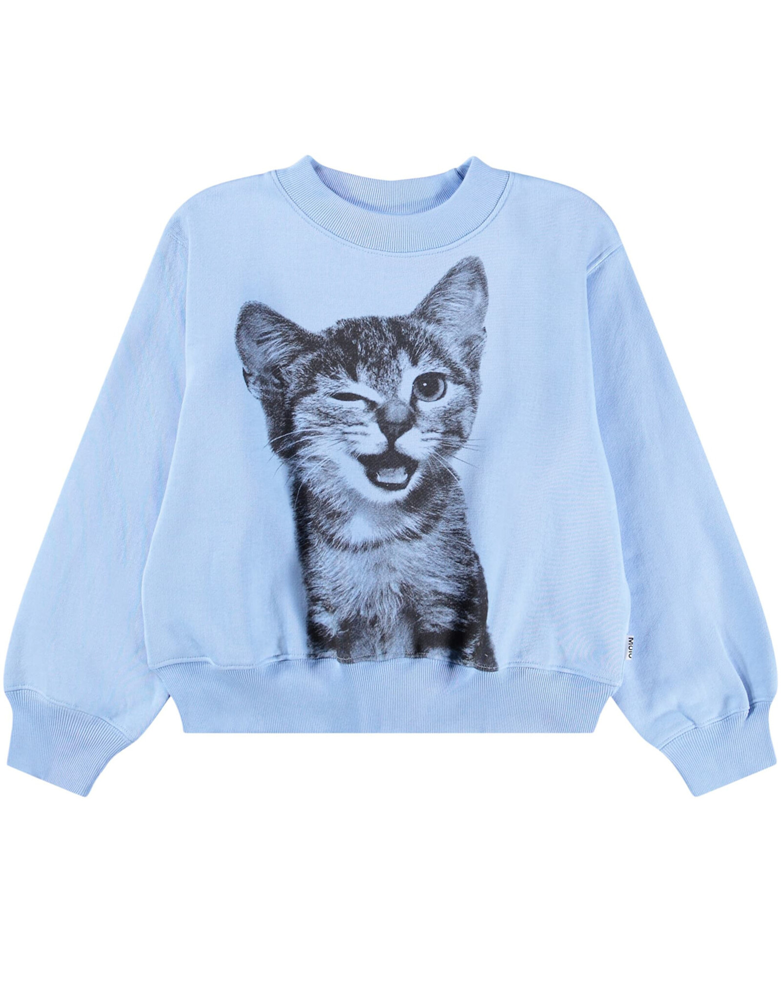 MOLO MOLO Marge blue kitten