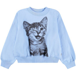 MOLO MOLO Marge blue kitten