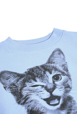 MOLO MOLO Marge blue kitten