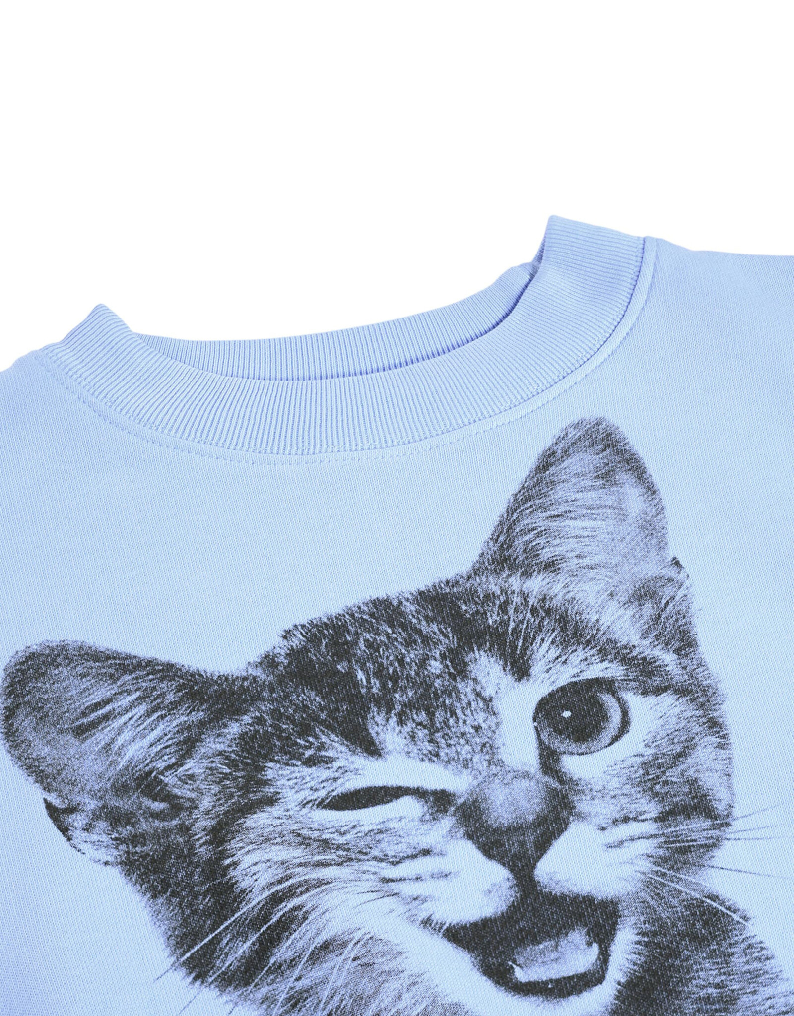 MOLO MOLO Marge blue kitten
