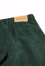 MOLO MOLO Alaine taxus