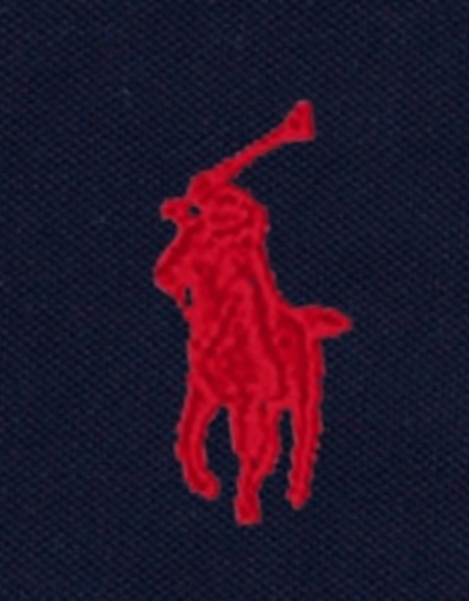 RALPH LAUREN RALPH LAUREN  Polo L/M blauw