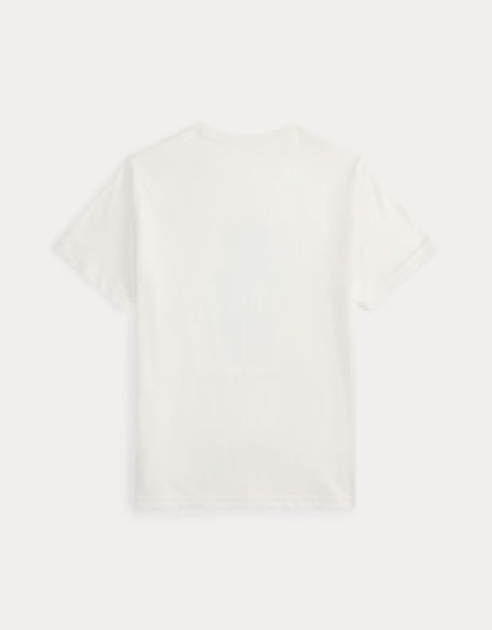 RALPH LAUREN RALPH LAUREN T-shirt wit k/m beer