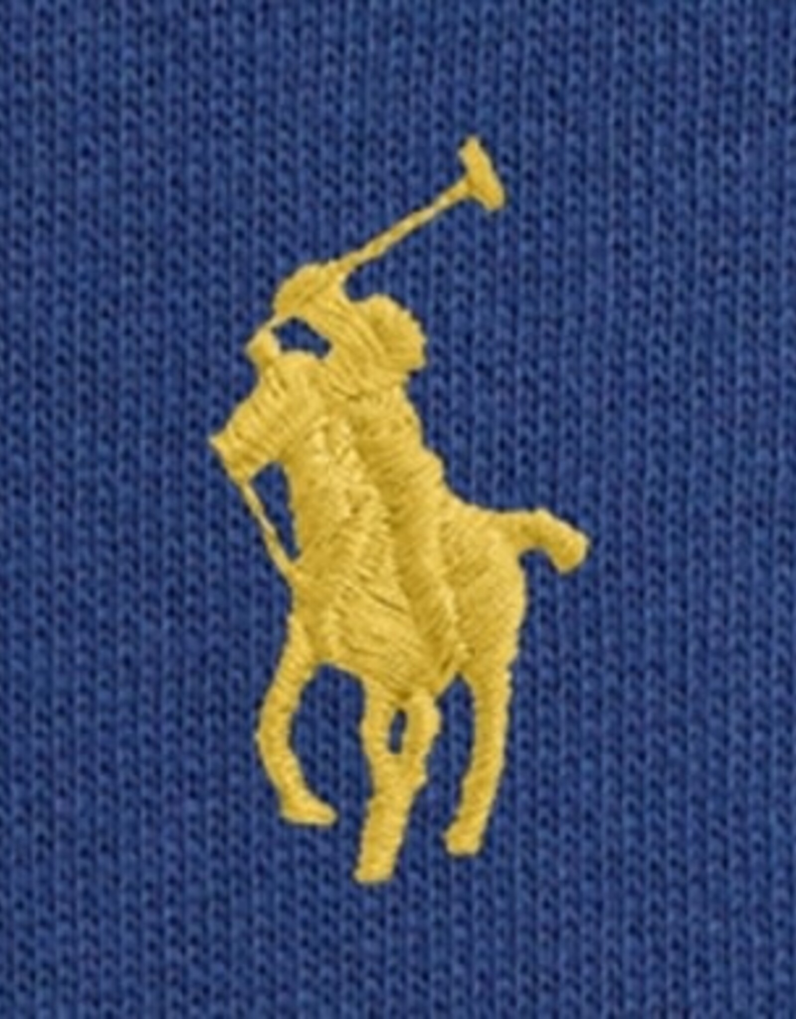 RALPH LAUREN RALPH LAUREN Sweater met kap dusty azure