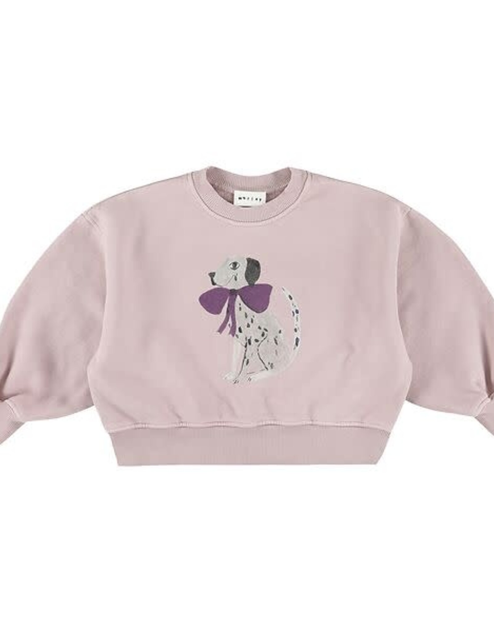 MORLEY MORLEY Zyco bowdog lilac
