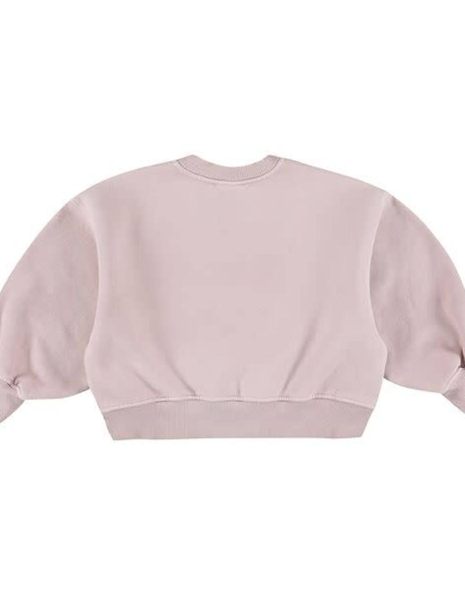 MORLEY MORLEY Zyco bowdog lilac