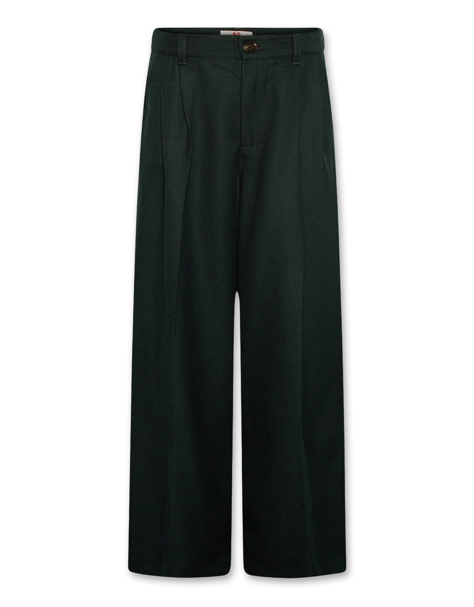 AMERICAN OUTFITTERS Ao76 Troy pants han school green