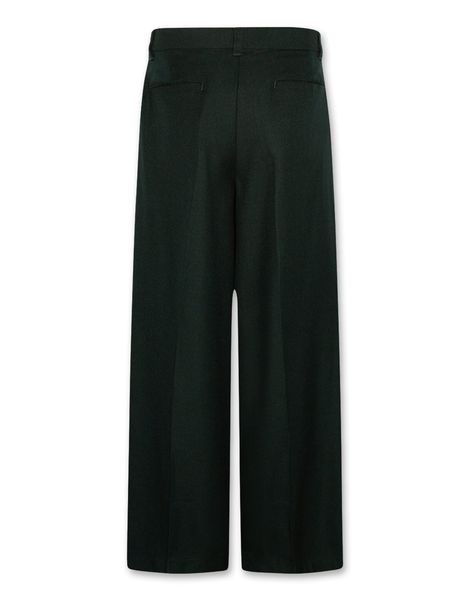 AMERICAN OUTFITTERS Ao76 Troy pants han school green