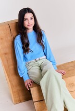 AMERICAN OUTFITTERS Ao76 Zina pants ardo green grey