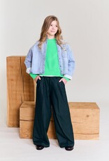 AMERICAN OUTFITTERS Ao76 Troy pants han school green