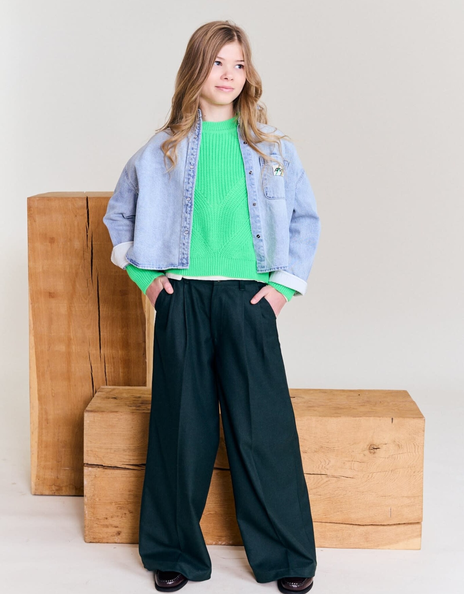 AMERICAN OUTFITTERS Ao76 Troy pants han school green
