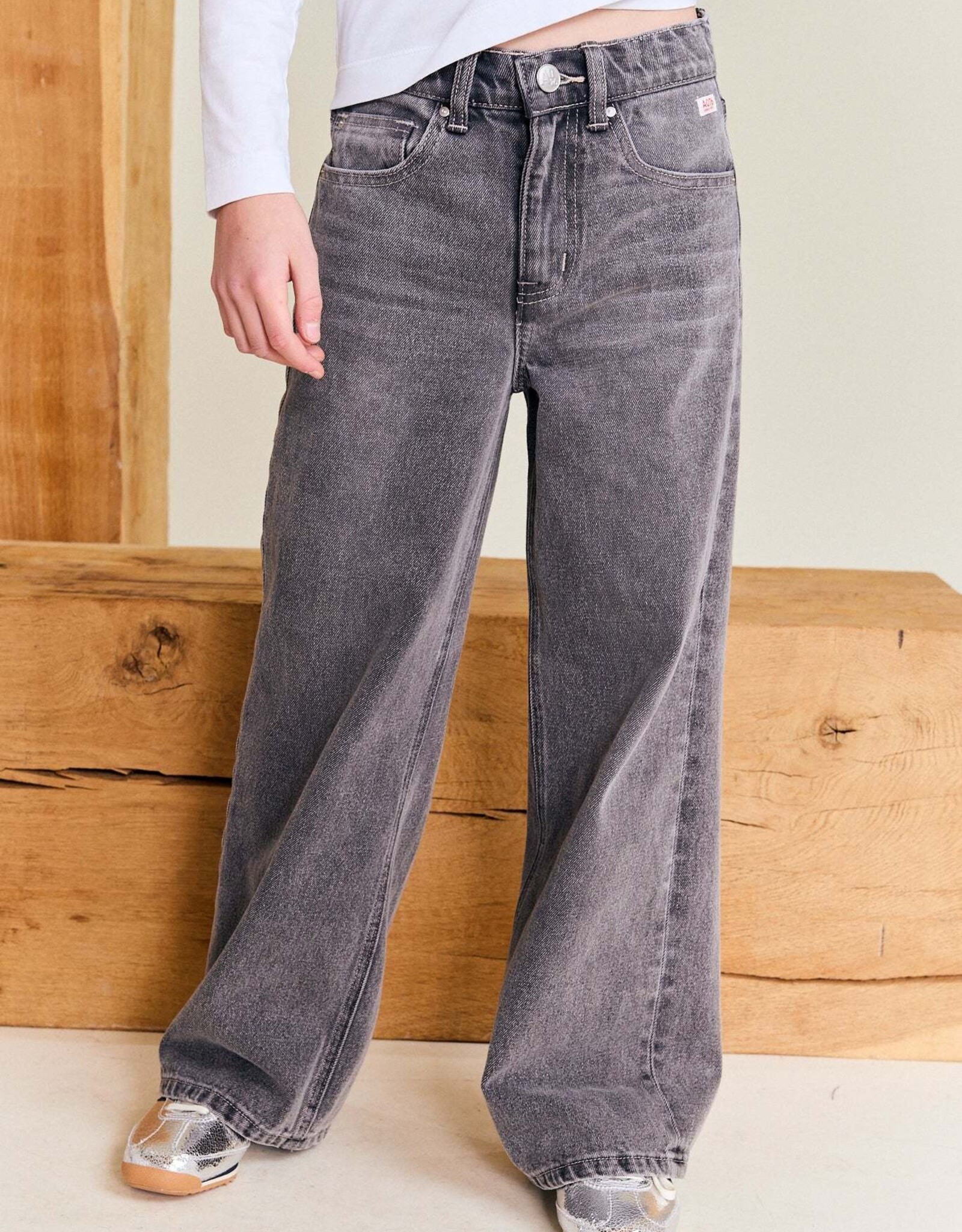 AMERICAN OUTFITTERS Ao76 Zina pants blake