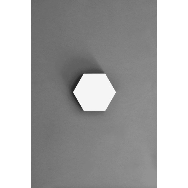 Set of 2 hexagon wall hooks - White