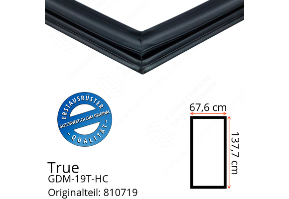 True GDM-19T-HC Türdichtung 137,7 x 67,6 cm (Profil breit)